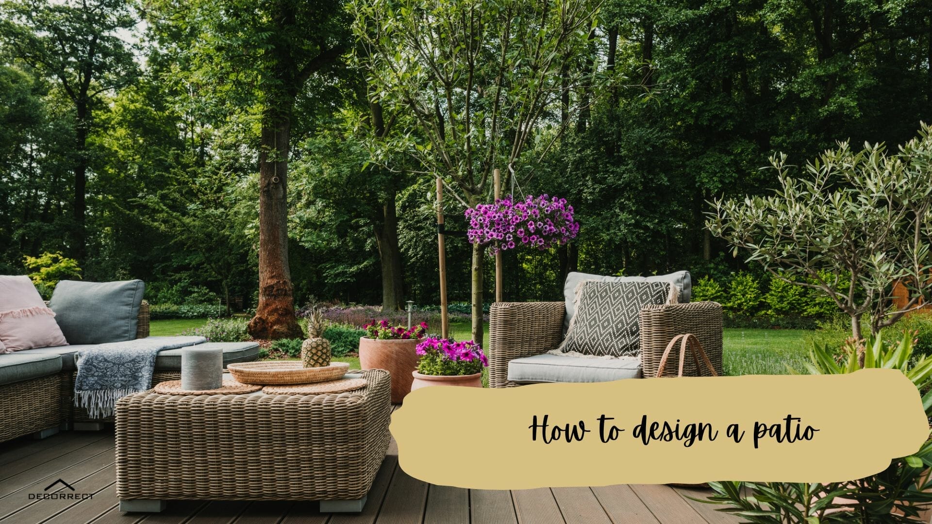 Design Your Patio Like a Pro The Beginner's Guide